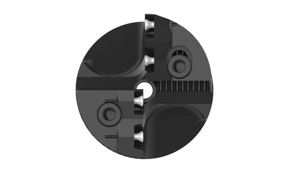 Head